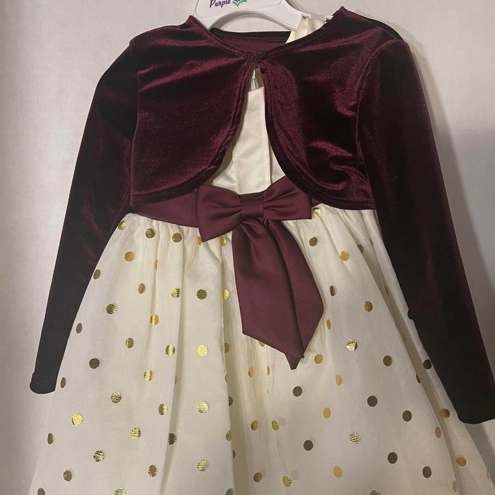Girls size 4~ with lining and jacket~Zipper closure~ Party dress~ Purple Rose